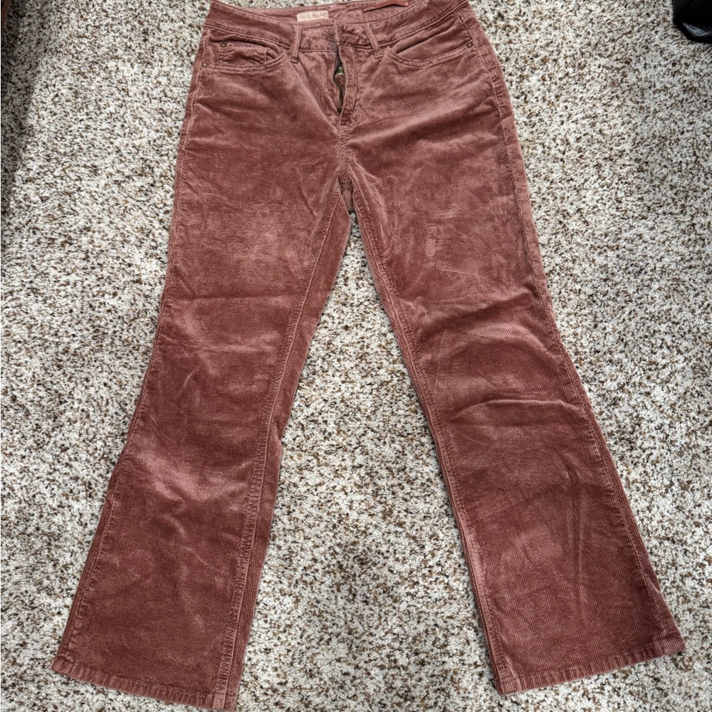 Pilcro Corduroy Pants in Rust